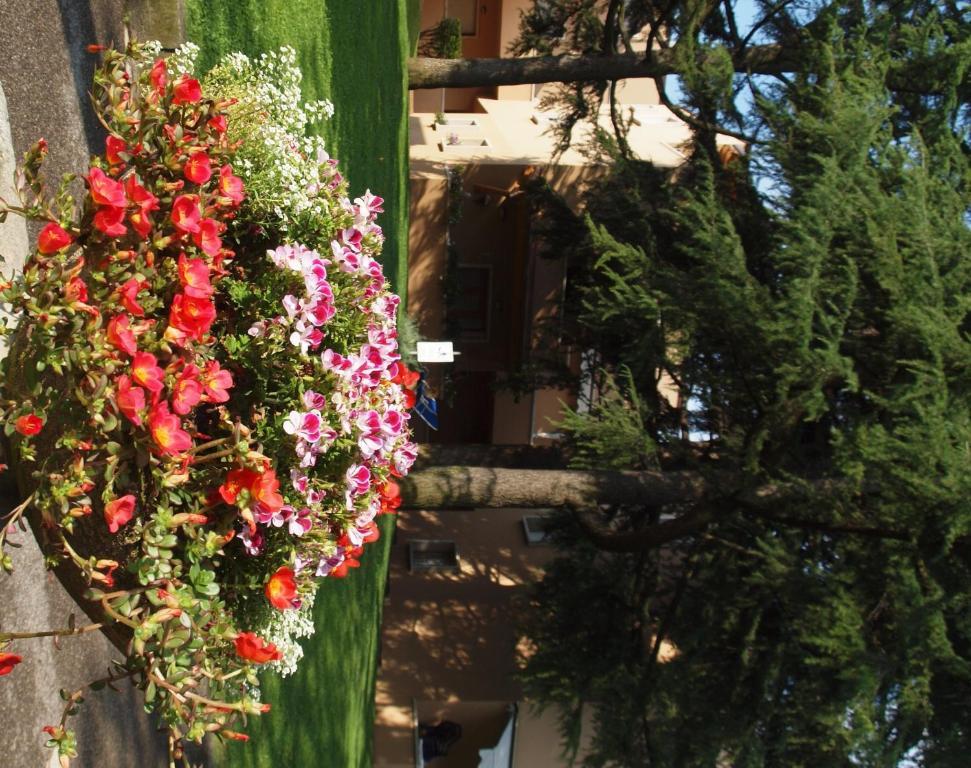 Residence La Madonnina Peschiera del Garda Eksteriør bilde